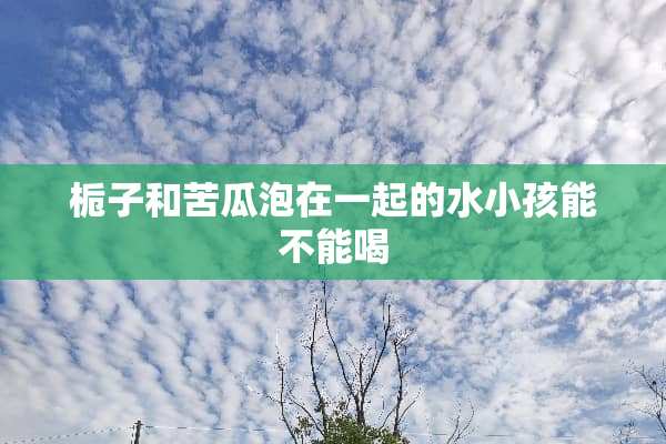 栀子和苦瓜泡在一起的水小孩能不能喝