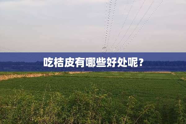 吃桔皮有哪些好处呢？