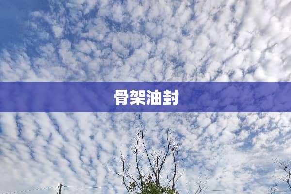 骨架油封