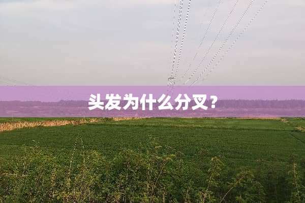 头发为什么分叉？