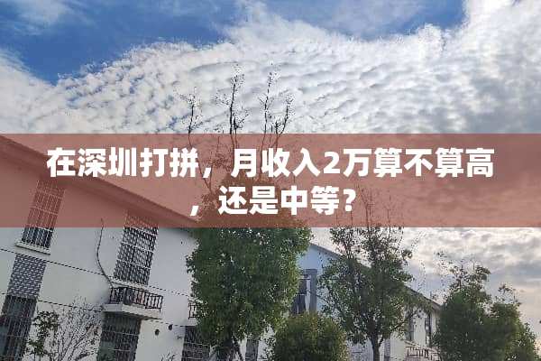 在深圳打拼，月收入2万算不算高，还是中等？
