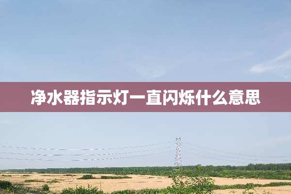 ***指示灯一直闪烁什么意思