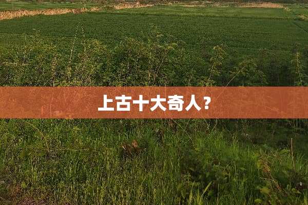 上古十大奇人？