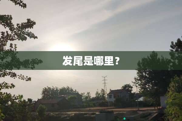 发尾是哪里？