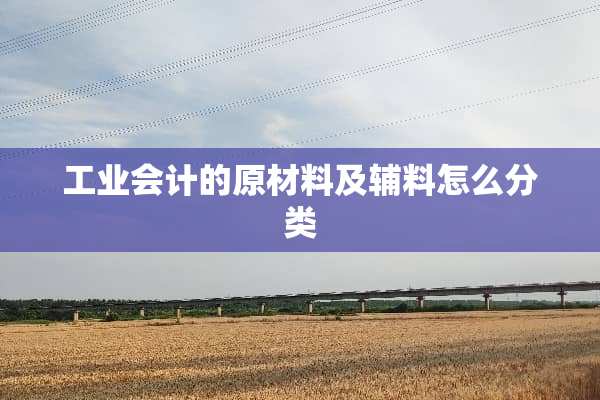 工业会计的原材料及辅料怎么分类
