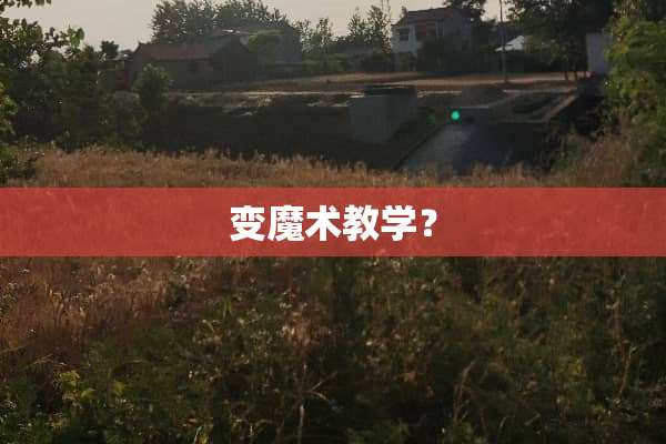 变魔术教学？