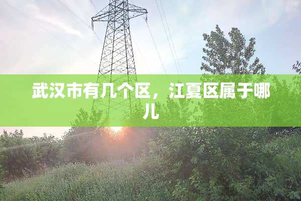 武汉市有几个区，江夏区属于哪儿
