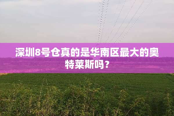 深圳8号仓真的是华南区最大的奥特莱斯吗？