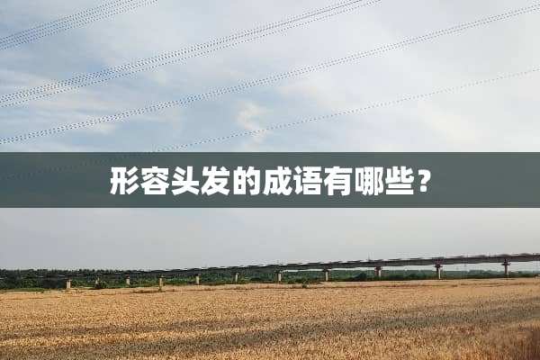 形容头发的成语有哪些？