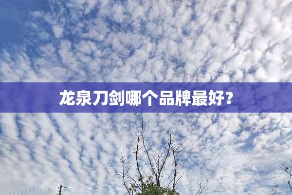 龙泉刀剑哪个品牌最好？
