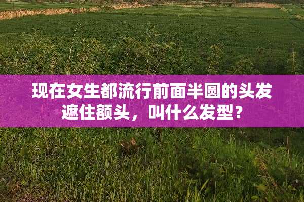 现在女生都流行前面半圆的头发遮住额头，叫什么发型？