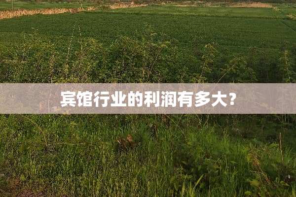 宾馆行业的利润有多大？