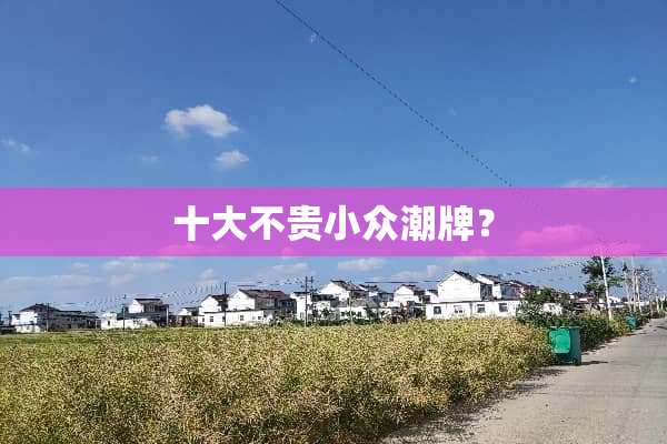 十大不贵小众潮牌？