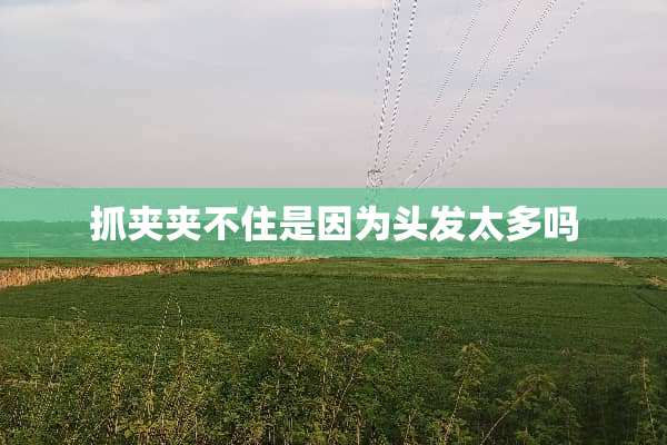 抓夹夹不住是因为头发太多吗