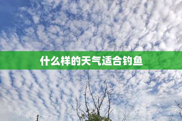 什么样的天气适合钓鱼