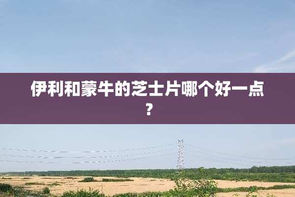 伊利和蒙牛的芝士片哪个好一点？
