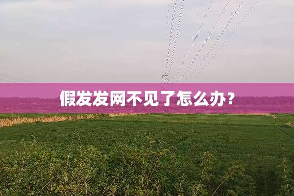 假发发网不见了怎么办？