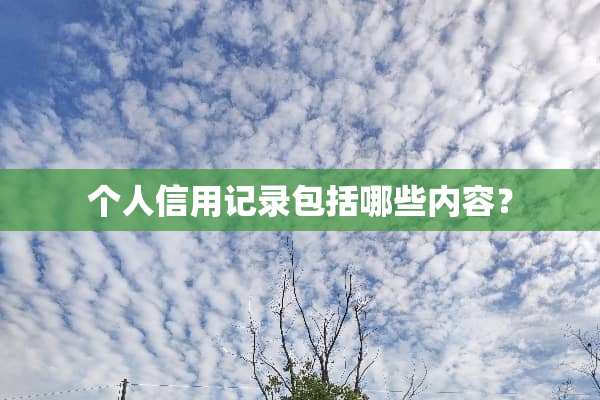 个人信用记录包括哪些内容？