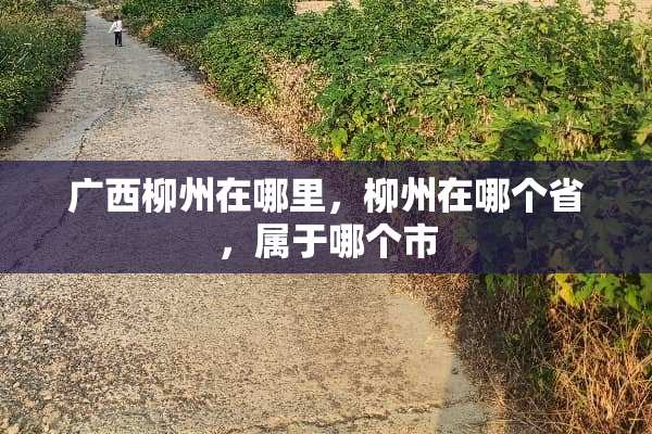 广西柳州在哪里，柳州在哪个省，属于哪个市