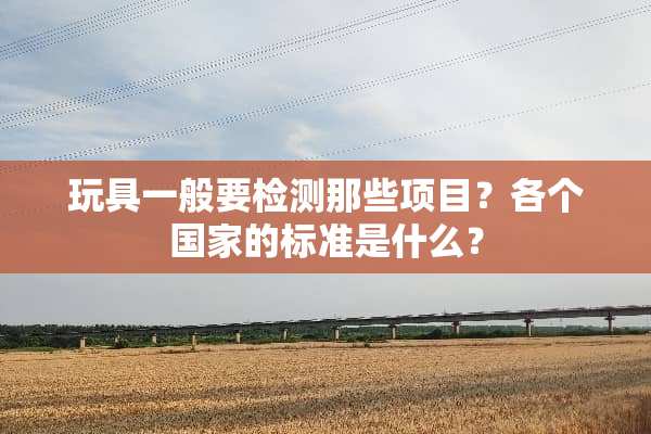 玩具一般要检测那些项目？各个国家的标准是什么？