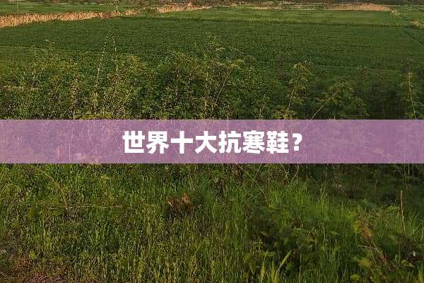 世界十大抗寒鞋？