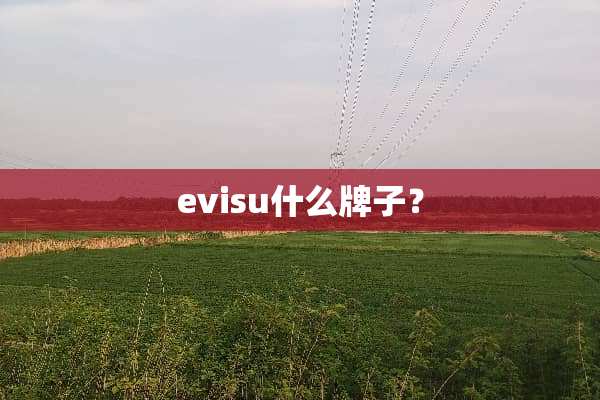 evisu什么牌子？