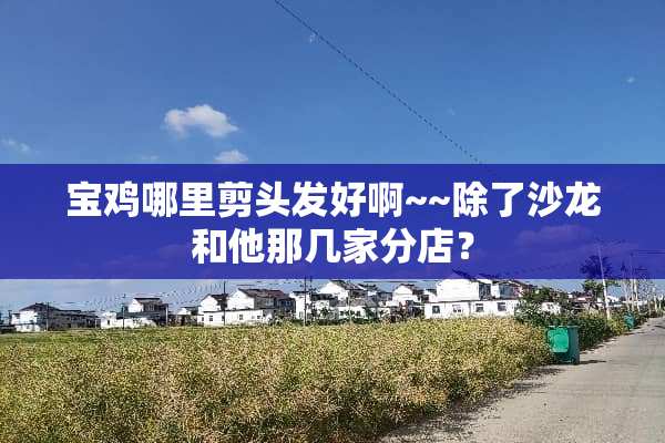 宝鸡哪里剪头发好啊~~除了沙龙和他那几家分店？