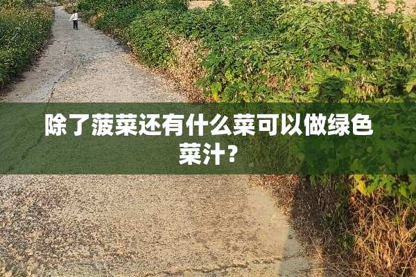 除了菠菜还有什么菜可以做绿色菜汁？