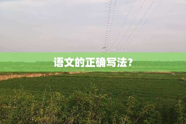 语文的正确写法？