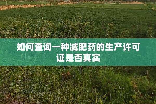 如何查询一种***的生产许可证是否真实