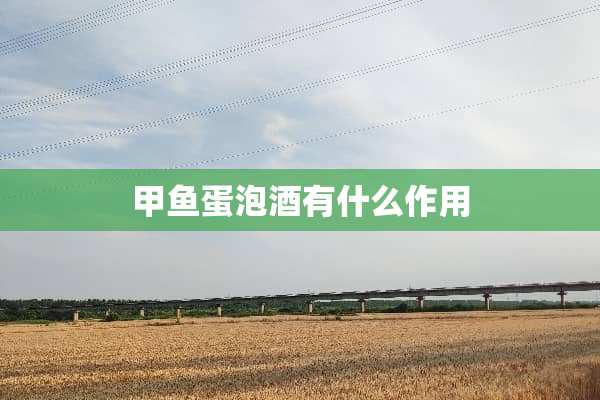 甲鱼蛋泡酒有什么作用