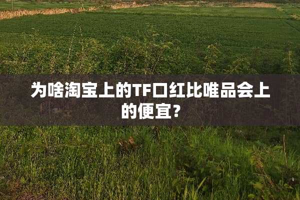为啥淘宝上的TF口红比唯品会上的便宜？