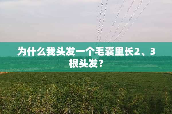 为什么我头发一个毛囊里长2、3根头发？