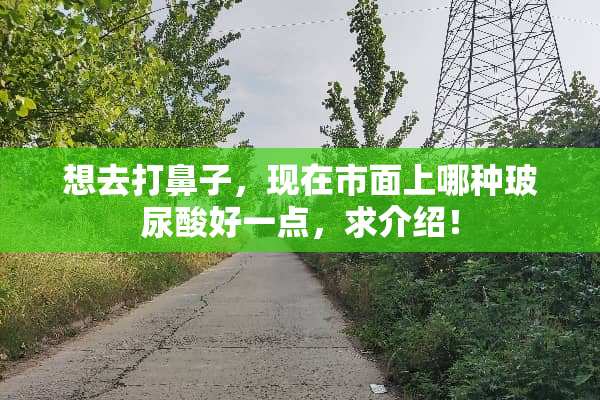 想去打鼻子，现在市面上哪种玻尿酸好一点，求介绍！