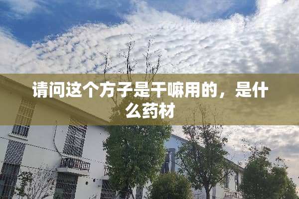 请问这个方子是干嘛用的，是什么药材