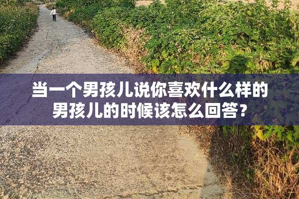 当一个男孩儿说你喜欢什么样的男孩儿的时候该怎么回答？