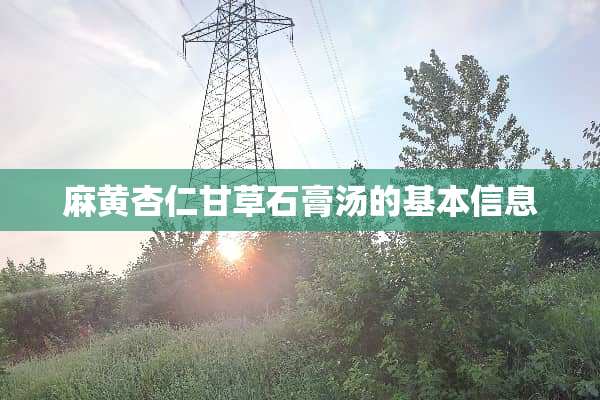 麻黄杏仁甘草石膏汤的基本信息