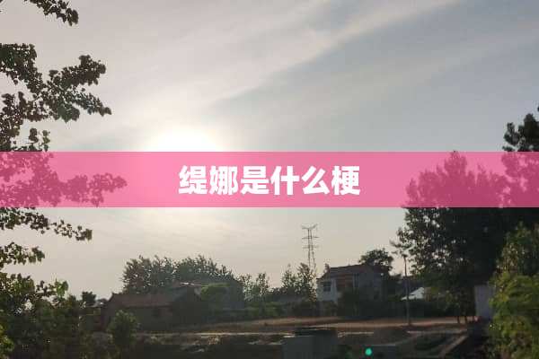 缇娜是什么梗