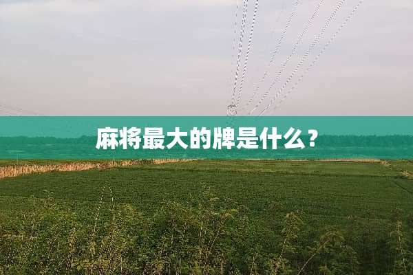 **最大的牌是什么？