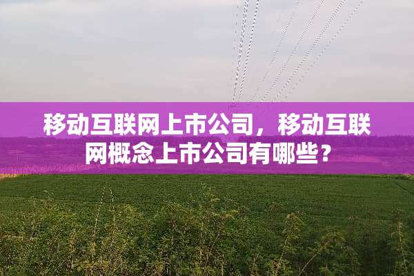 移动互联网上市公司，移动互联网概念上市公司有哪些？