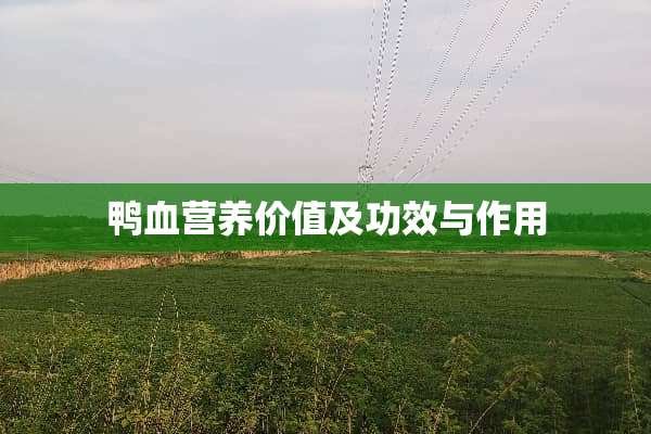 鸭血营养价值及功效与作用