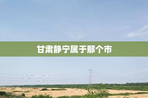 甘肃静宁属于那个市