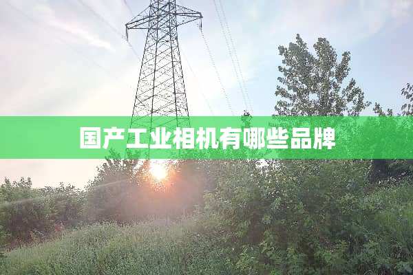国产工业相机有哪些品牌