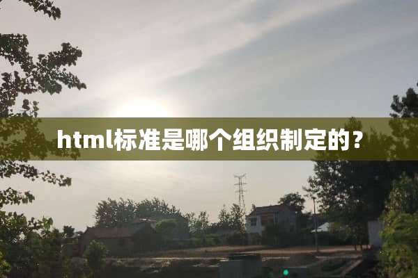 html标准是哪个组织制定的？