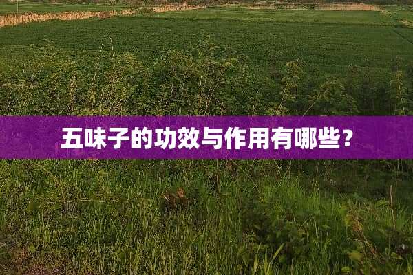 五味子的功效与作用有哪些？