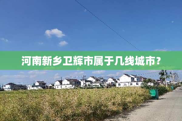 河南新乡卫辉市属于几线城市？