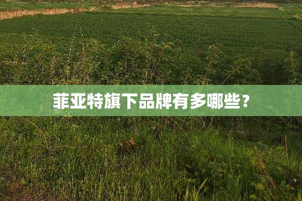 菲亚特旗下品牌有多哪些？