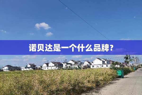 诺贝达是一个什么品牌？
