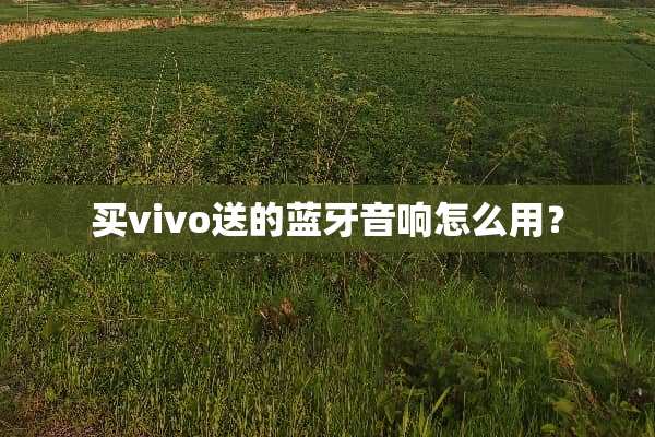 买vivo送的蓝牙音响怎么用？