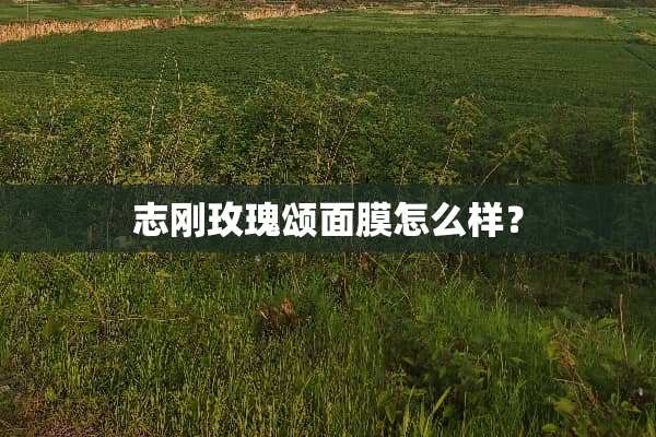 志刚玫瑰颂面膜怎么样？